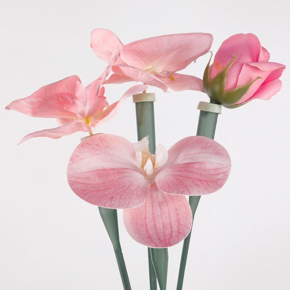أنابيب حفظ الزهور، قوارير بلاس - مراجعة The Florist Supply Shop وسعره